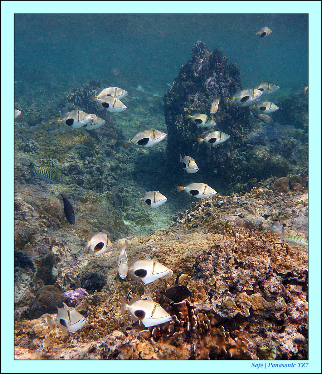 2012 - 07 - Gili - 63